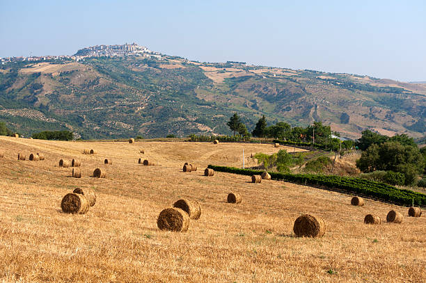 istock Landscape in Basilicata (Italy) near Acerenza at summer 121977553