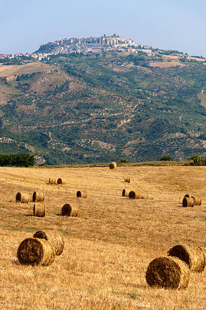 istock Landscape in Basilicata (Italy) near Acerenza at summer 121977591