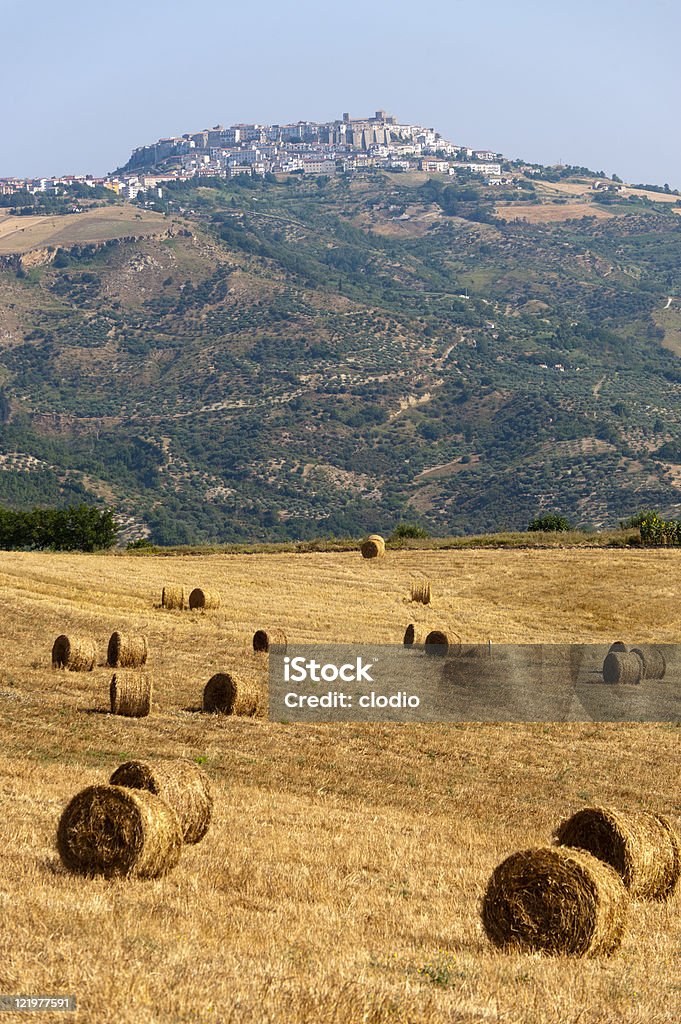 Landscape in Basilicata (Italy) near Acerenza at summer Agriculture Stock Photo