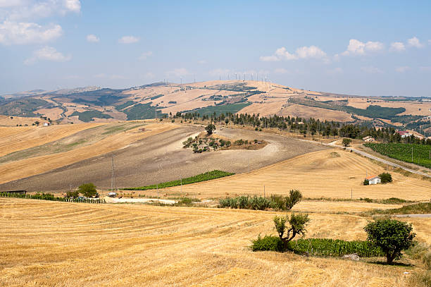 istock Landscape in Basilicata (Italy) near Acerenza at summer 121977593