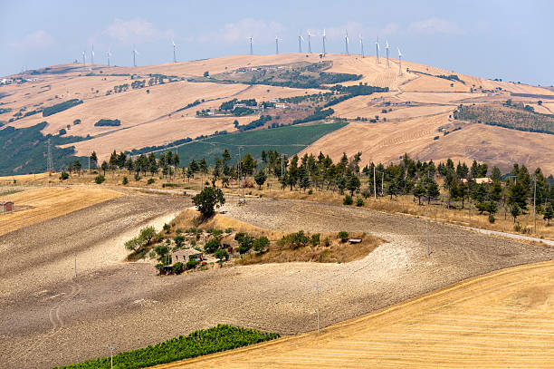 istock Landscape in Basilicata (Italy) near Acerenza at summer 121977621