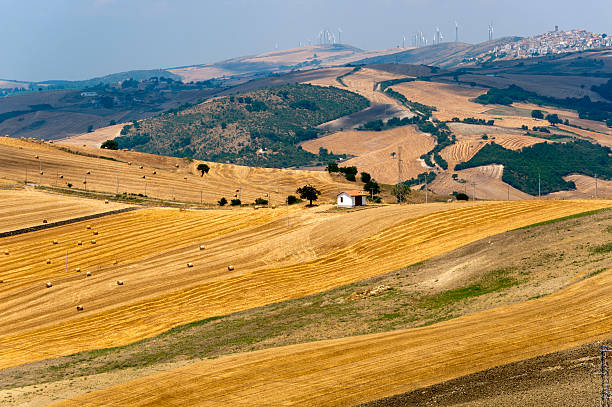 Landscape in Basilicata (Italy) near Forenza at summer