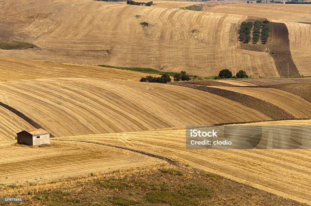 Paesaggio Basilicata (Italia) nei pressi di Melfi in estate - Foto stock royalty-free di Agricoltura