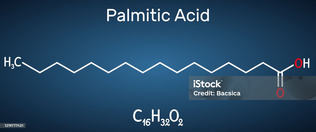 Asam Palmitik Atau Heksadescanoic Molekul C16h32o2 Ini Adalah Asam