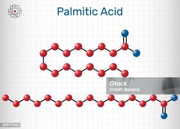 Asam Palmitik Atau Heksadescanoic Molekul C16h32o2 Ini Adalah Asam