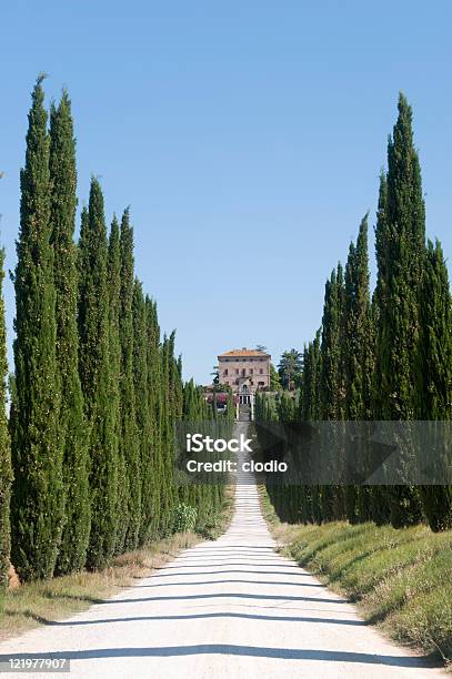 Amelia Villa E Cypresses Vecchio - Fotografie stock e altre immagini di Albero