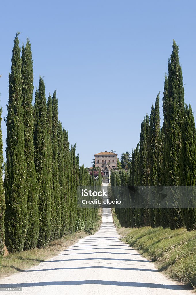 アメリア（Terni 、Umbria 、イタリア）以上のヴィラと cypresses - まっすぐのロイヤリティフリーストックフォト