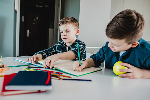 Brothers Studying Together Stock Photo - Download Image Now - 6-7 Years ...