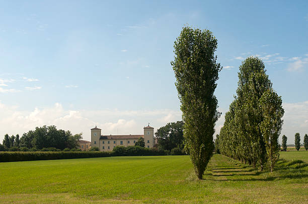 istock Sant'Ilario (Parma, Emilia-Romagna, Italy) - Historic building and poplars 121978346