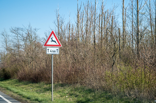 Street signs