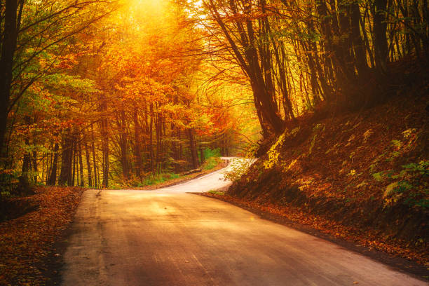 istock Beautiful autumn landscape 1219785569
