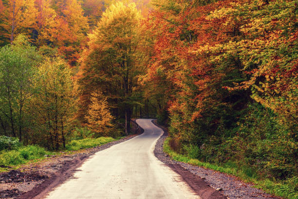 istock Beautiful autumn landscape 1219785580