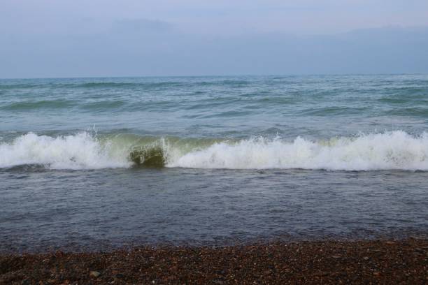 istock Indiana Dunes National Park 1219787052