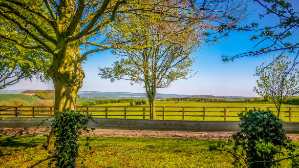 istock Blewbury to Lowbury on The Ridgeway 1219789286