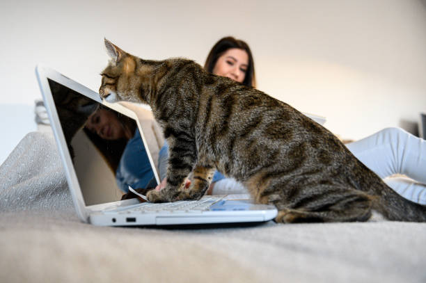 istock girl with a cat 1219789489