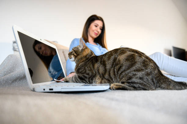 istock girl with a cat 1219789540