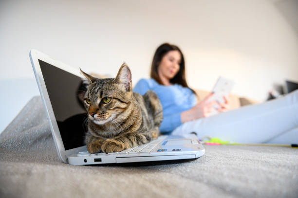 istock girl with a cat 1219789557