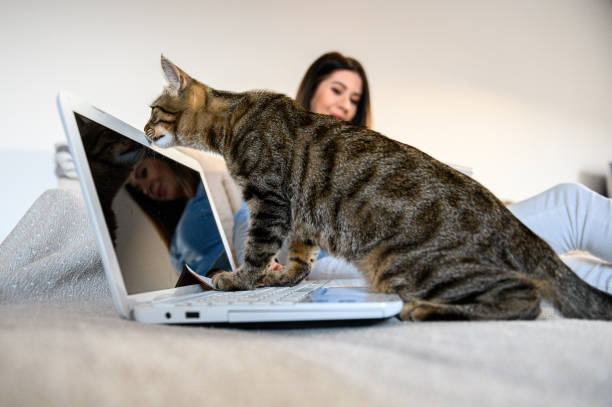 istock girl with a cat 1219789575