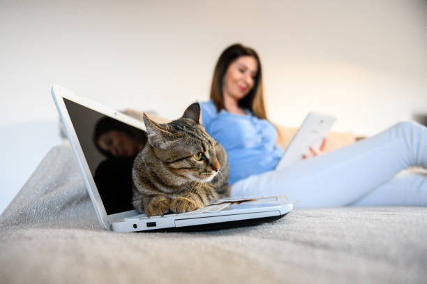 istock girl with a cat 1219789587