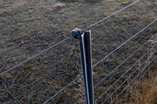 un poste de clôture électrique congelé - farm winter field fence photos et images de collection