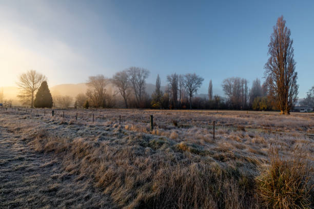 istock A Beautiful Meadow In Canterbury 1219790503