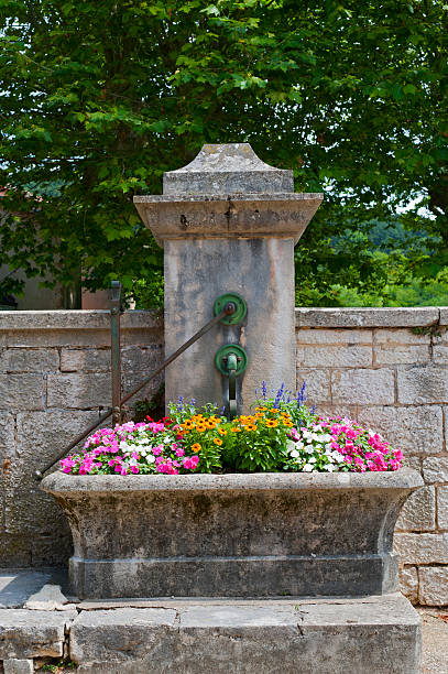 istock Treffort (France) - Fountain with flowers 121979103