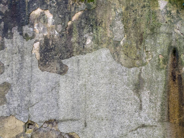istock Plaster fell off the wall on the street 1219792033
