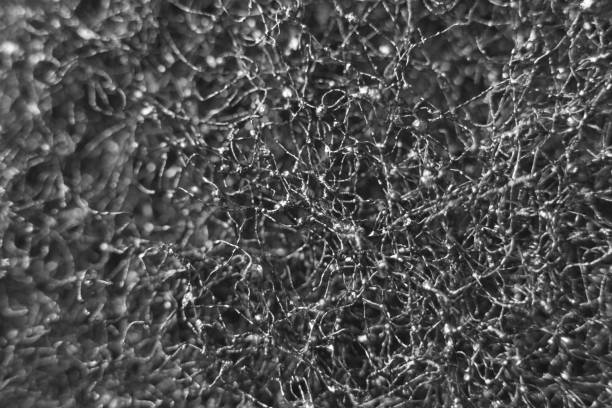istock Abstract background sponge for washing dishes close-up, selective focus 1219792449