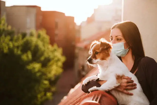 young woman at home on a terrace wearing protective mask. Hugging her cute jack russell dog. Corona virus Covid-19 concept