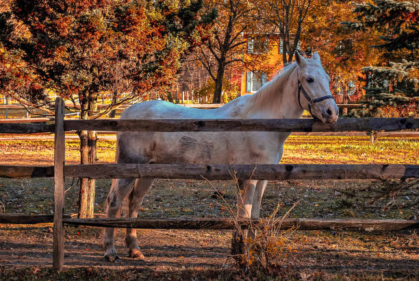 Scenic Bucks County Pennsylvania USA