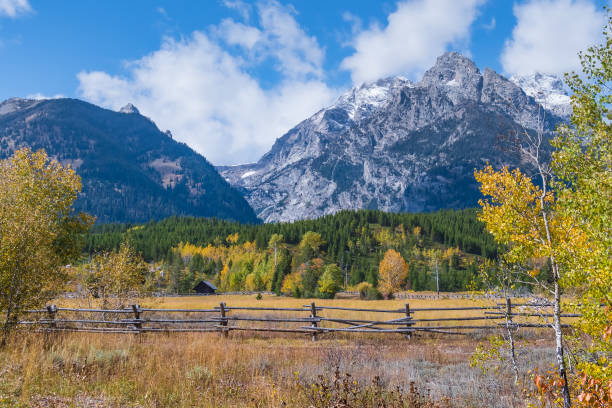 istock Grand Tetons National Park on a Sunny Day 1219793340