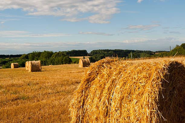 istock Countryside near Le Mans 121979423