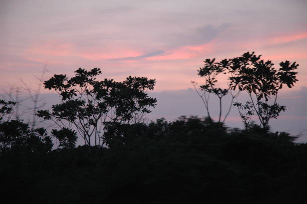 afrikanischer sonnenuntergang auf dem weg nach pointe noire - pointe noire stock-fotos und bilder