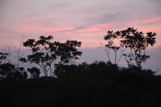 африканский закат на пути к пойнт-нуар - pointe noire стоковые фото и изображения