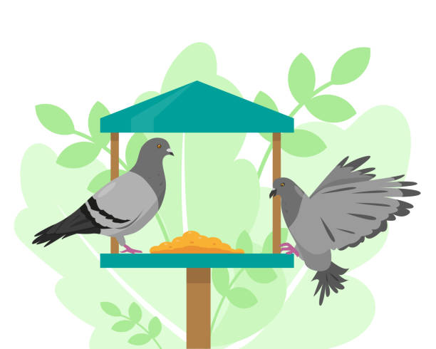 ilustrações, clipart, desenhos animados e ícones de pombas no alimentador de pássaros. ilustração vetorial. - bird feeder illustrations