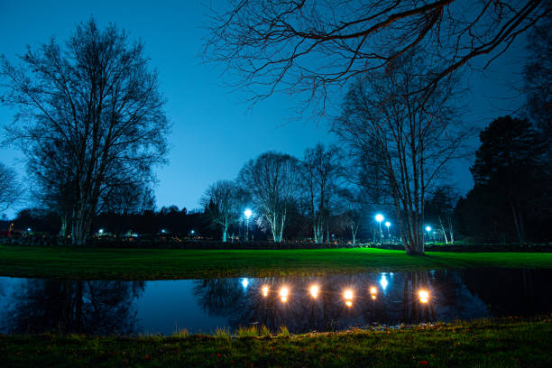 Pitch torches in a small pond at a graveyard.