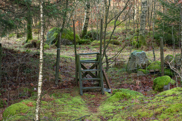 istock Wooden stile in a forest. 1219797239