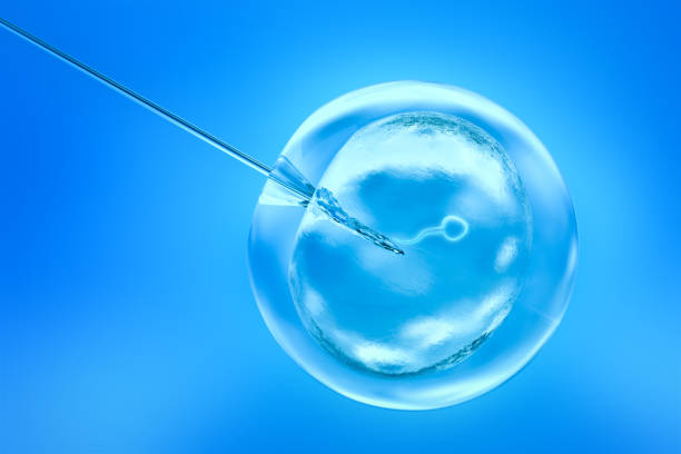 IVF vaccination.Laser needle in cell injection.