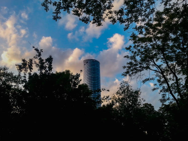 Peak of Sky Tower in Wroclaw framed in tree crowns