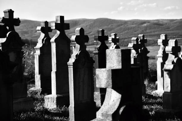 Silhouette death tree and cemetery. stock photo