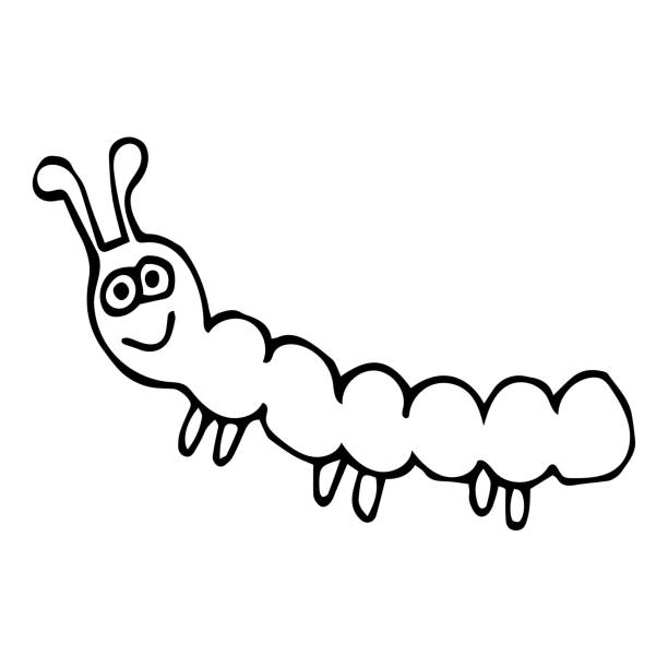 Drawing Of A Hungry Caterpillar Illustrations, Royalty-Free Vector Graphics  & Clip Art - iStock