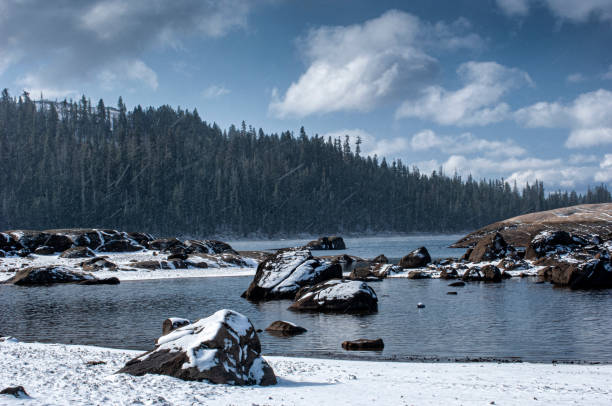 Snowy Sierra Nevada mountain lake surrounded by conifer trees, under a snowy cloudy sky\n\nTaken in Lake Alpine, California, USA.