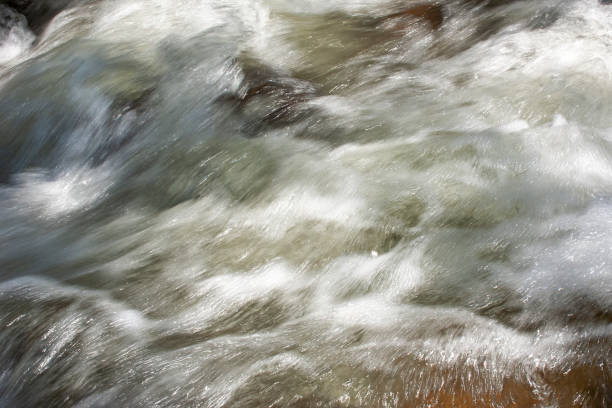 istock Mountain Creek Cascading Over Rocks 1219810290