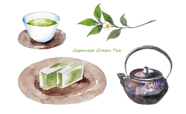 ilustrações, clipart, desenhos animados e ícones de chá verde japonês e doces - tetsubin teapot