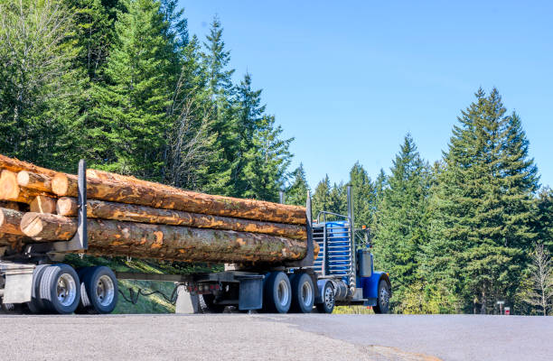 녹색 숲과 도로에서 실행 긴 통나무를 운반 블루 큰 장비 일 택시 세미 트럭 - lumber industry truck truck driver log 뉴스 사진 이미지