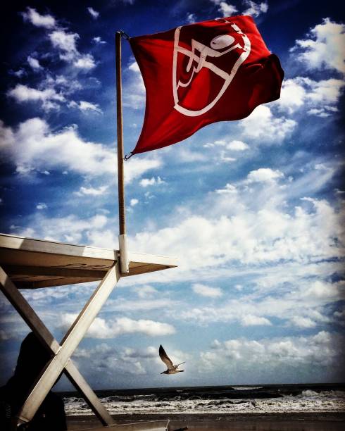 istock Warning flag on lifeguard stand with a segull and storm clouds in background 1219820526