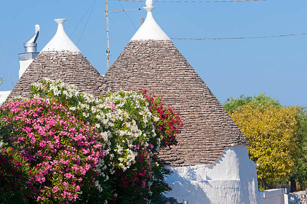 istock Murge (Puglia, italy) - Trulli and flowers 121982150