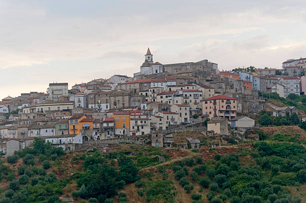 istock Basilicata (Potenza) - Oppido Lucano, ancient town and olive trees 121982166