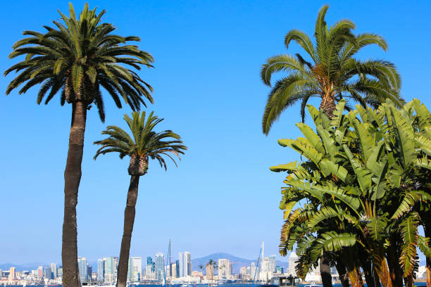 サンディエゴ カリフォルニア スカイライン - day san diego california harbor downtown district ストックフォトと画像