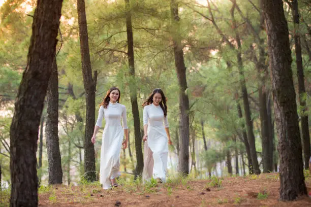 Two Vietnamese girls wearing a traditional long dress (ao dai) on the pine forest of Chung Mountain, Nam Dan, Nghe An